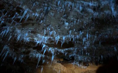 Monteagle Miner Cave, a Fluorescent Chamber of Icicles